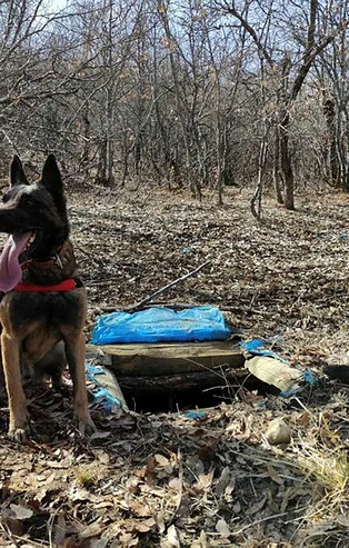 Tunceli'de teröristlerin ini imha edildi