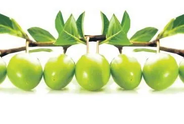 Vitamin deposu eriğin faydaları saymakla bitmiyor!