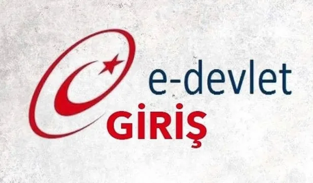 e-Devlet soyağacı sorgulama açıldı mı? Soyağacı sorgulama ne zaman açılacak?-6