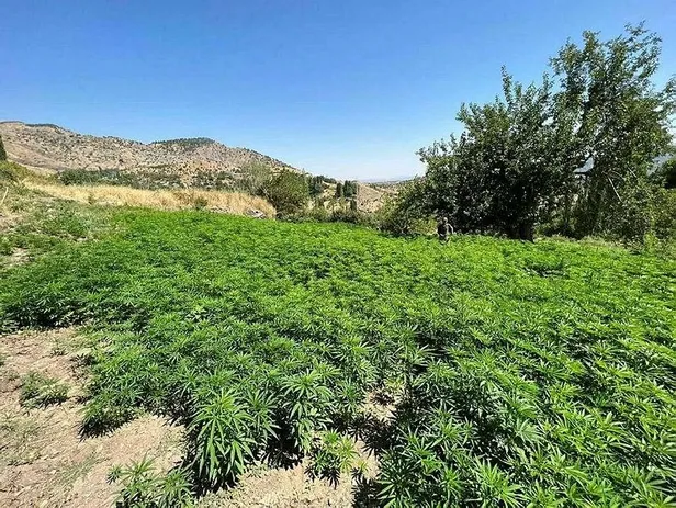 pkknin-finans-kaynagina-eren-darbesi-diyarbakirda-uyusturucu-kokleri-ele-gecirildi-1662707376044.jpeg PKK'nın finans kaynağına 'Eren' darbesi! Diyarbakır'da uyuşturucu kökleri ele geçirildi-1