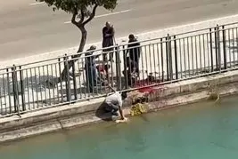Adana’da kestiği koyunun kanı ve dışkısıyla kanalı kirleten kişiye 74 bin lira ceza