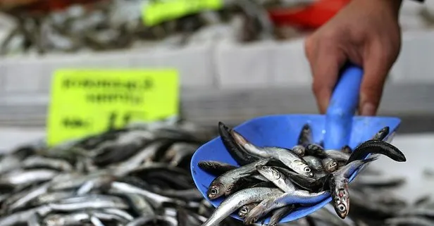 İstanbul’da 2019’da en çok tüketilen balık hamsi oldu