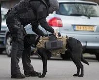 Hollanda polisinden büyük saygısızlık! Tepkiler çığ gibi