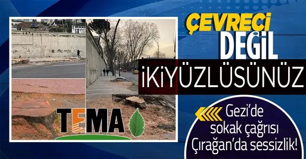 Gezi Parkı’nda taşınan 5 ağaç için eylem çağrısı yapan TEMA İBB’nin kestiği 200 yıllık çınarlara sessiz