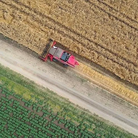 Üretici birlikleri çiftçiyi koruyacak