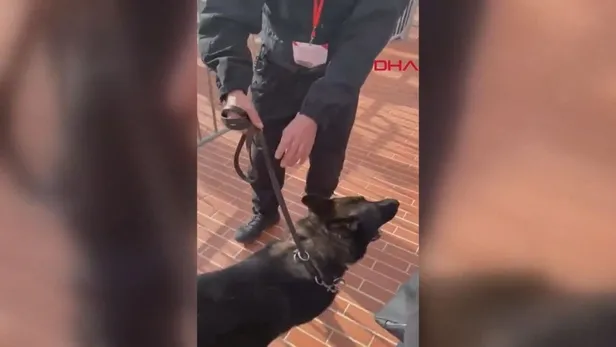 fransiz-polisinden-trabzonspor-taraftarlarina-buyuk-saygisizlik-kopekle-aradilar-1665084387868.jpg Fransız polisinden, Trabzonspor taraftarlarına büyük saygısızlık! Köpekle aradılar-2