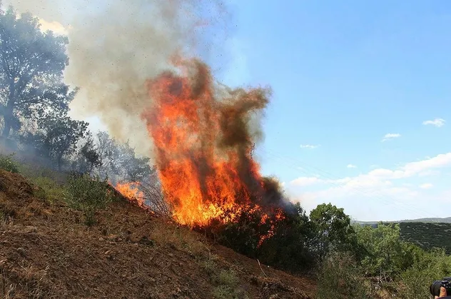 Son dakika: Manisa'da çıkan orman yangını kontrol altına alındı