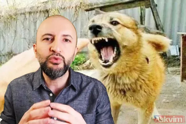 'Köpekperest' provokasyonda FETÖ izi! Başrolde başıboş tetikçi Cevheri Güven: Mama lobisine taktik, küstah tehdit - 7