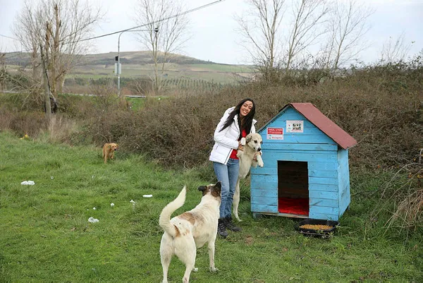 THY kabin memurundan örnek davranış!-1