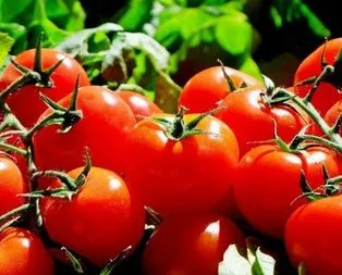 Domates arttı karpuz düştü