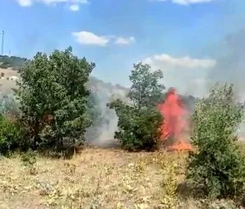 1658166689725.jpg 15 dekarlık ormanlık alan küle döndü-2
