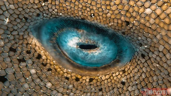 Mavi bir göl mü? Kimse ilk bakışta anlamıyor! Bu görüntü aslında ölümcül bir gerçeği saklıyor… - 2