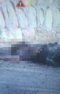 Saldırmaya çalışan PKK'lı hain öldürüldü