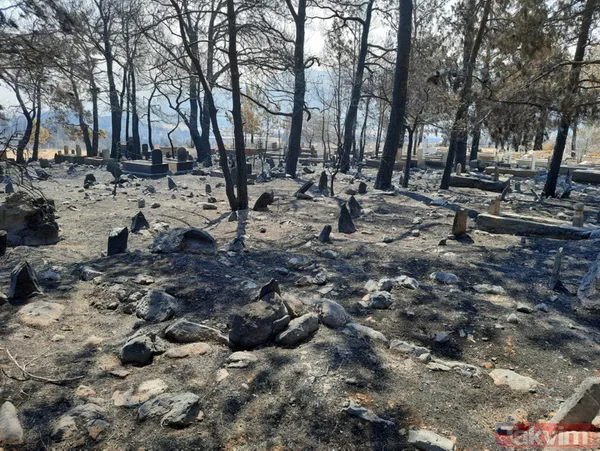 SON DAKİKA: Mersin Silifke'deki orman yangınında mezarlık zarar görürken şehidin kabri ve Türk bayrağı yanmadı - 4