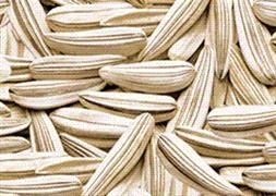 Yere çekirdek kabuğu atana para cezası