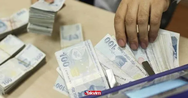 Yeni emeklilik sistemi oldukça konuşulacak! Yeni emeklilik sistemiyle beraber 500 TL'den fazla maaş hesaplara yatacak!