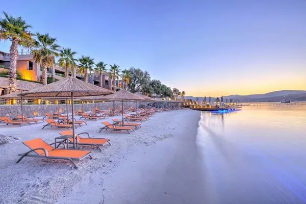1 porsiyon kiraz 36 TL, 1 şişe su 16 TL...Bodrum beach'lerindeki kazık balık restoranlarına sıçradı-4