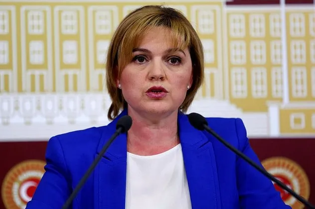 ‘İkinci Yüzyıl Vizyonu’ programında CHP'li Böke'den skandal açıklama! Hendekçi akademisyenler geri gelecek