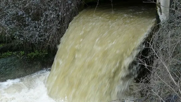 Riva deresinde mide bulandıran görüntü! İnsan sağlığı büyük tehlikede-2