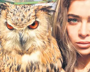 Baykuş ve bayankuş