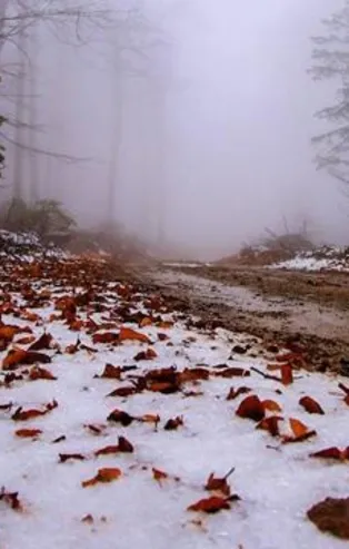 Çanakkale ile Balıkesir sınırlarında bulunan Kazdağları beyaz gelinliğini giydi! Mevsimin ilk karı yağdı