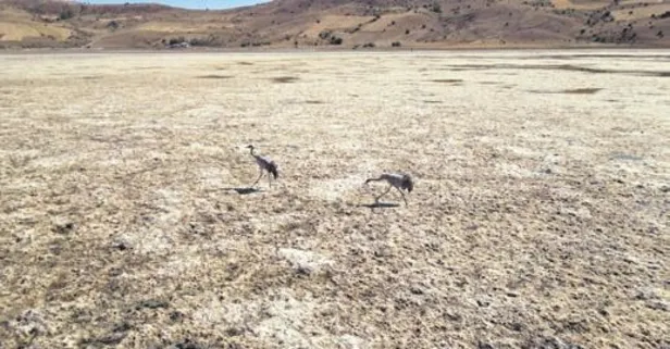 Türkiye’deki 240 gölden 186’sı kurudu