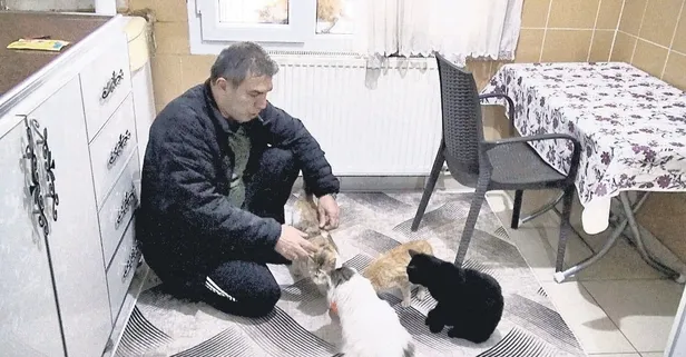Boş olan dairesini barınağa dönüştürdü! 17 kediye bakıyor