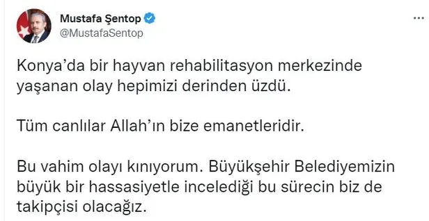 konyadaki-skandal-goruntuler-infial-yaratmisti-ak-parti-sozcusu-omer-celik-hayvanlara-yapilan-zulumlere-asla-m-1669395661380.jpeg Konya'daki skandal görüntüler infial yaratmıştı! AK Parti Sözcüsü Ömer Çelik: Hayvanlara yapılan zulümlere asla müsamaha göstermeyiz-10