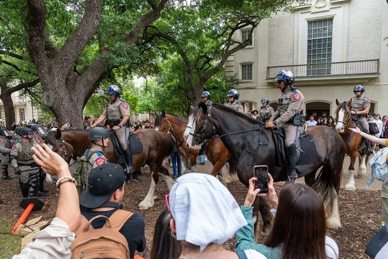 Teksas Eyalet Askerleri, 24 Nisan'da Austin'deki Texas Üniversitesi kampüsünde düzenlenen bir protesto sırasında at sırtında kampüse geldi. AFP