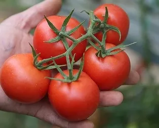 Bakan duyurdu! O kota yükseltildi