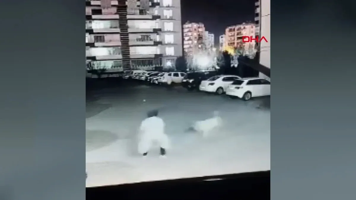 Diyarbakır’da başıboş köpek anne ve çocuğuna saldırdı