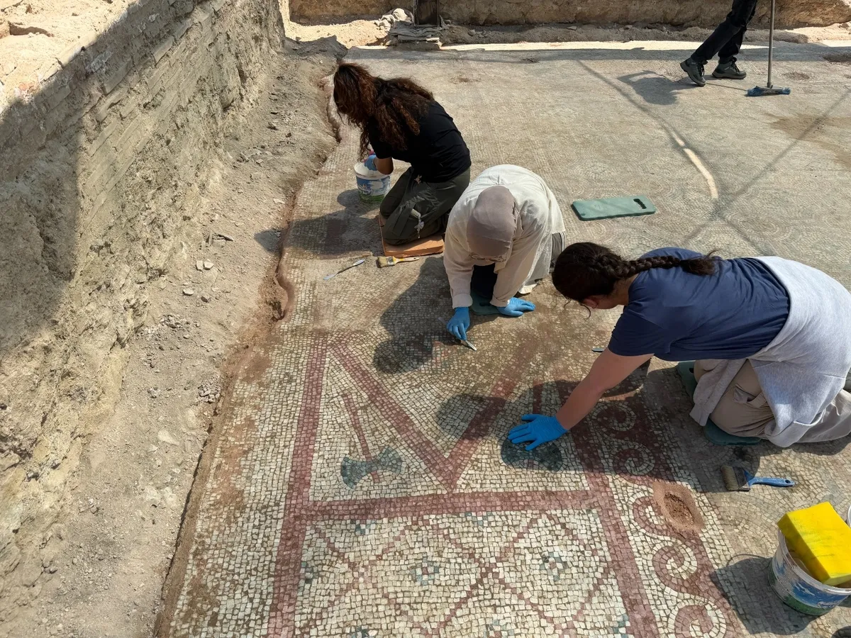 1788765860980.jpeg Kastamonu'daki Pompeiopolis'te yeni keşifler: M.S. 4. yüzyıl mozaiği ve Eros başı gün yüzüne çıkarıldı-7