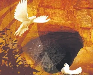 Yaşayan her canlıya karşı merhametli olun