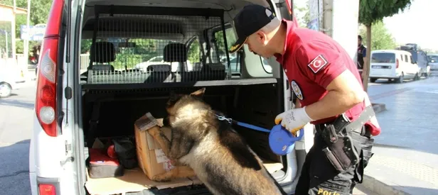 81 ilde "Narko Sokak 2" operasyonu