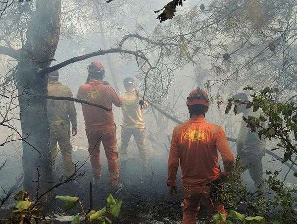 1693192985823.jpeg CHP'li Çanakkale Belediye Başkanı Ülgür Gökhan yeni bir skandala imza attı! Yangından kaçtı düğüne koştu! Utanmadan üzerine paylaşım yaptı-4