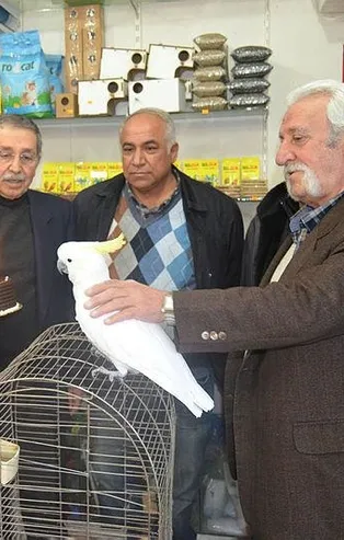 'Baba'ğan! 21 yaşına giren papağan için doğum günü