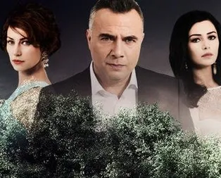 Dizi dizi başarı