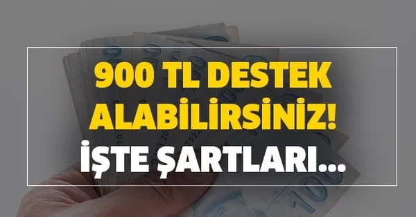 500 800 900 lira destek alabilirsiniz calismayanlara ev hanimlarina para yardimi iste sartlar takvim