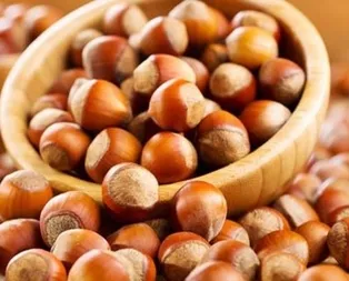 Fındık fiyatları ne kadar oldu? 2019 güncel fındık taban fiyatları açıklandı!