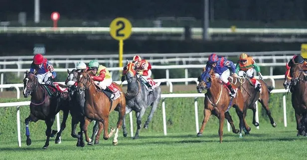 At yarışlarına ‘icar’ modeli