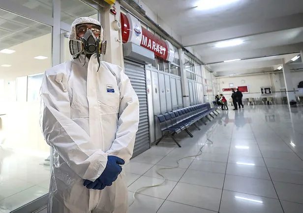 Koronavirüs nasıl ortaya çıktı? Bilim insanları koronavirüs araştırmasını tamamladı-2