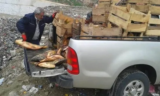 Elazığ'da bir kamyonette 900 kilo kaçak balık ele geçirildi-1