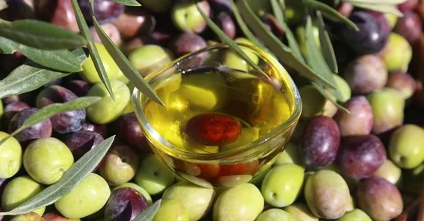 Zeytin kansızlığı bitirir!