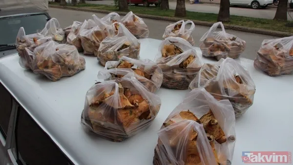 Yağmurla ortaya çıktı kilosu 500 TL’ye satışta! Köylünün altın değerindeki geçim kaynağı şifa saçıyor - 4