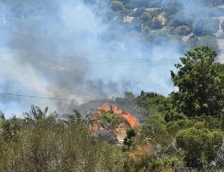 Bodrum’da korkutan yangın! Bir anda yayıldı