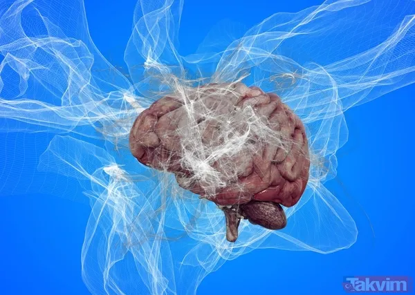 Sadece beslenme değil! Yüksek tansiyonu tetikleyen yeni bir beyin bölgesi keşfedildi - 7