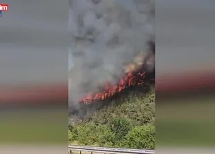 Karabük’te orman yangını çıktı!