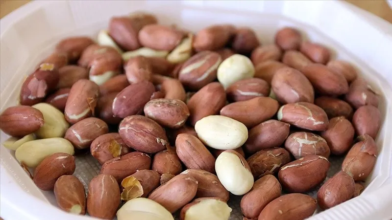 kanser-riskine-son-diyetinizde-olmasi-gereken-5-mucizevi-antioksidan-1730129596655.jpg Diyetinizde olması gereken 5 mucizevi antioksidan: Kanser riskine son!-4