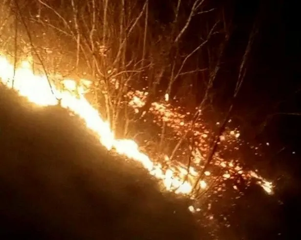 osmaniye-duzicinde-orman-yangini-alevler-yukseldi-1648849554388.jpeg Osmaniye Düziçi'nde orman yangını! Alevler yükseldi-2