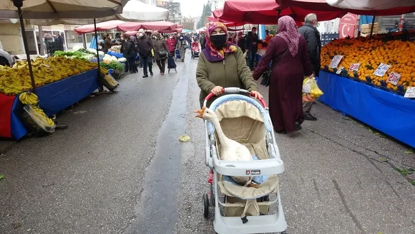 tokatta-bebek-arabasindan-gelen-sese-anlam-veremeyenler-kazi-gorunce-saskinliklarini-gizleyemedi-1606910665331.jpg Tokat'ta bebek arabasından gelen sese anlam veremeyenler kazı görünce şaşkınlıklarını gizleyemedi-5